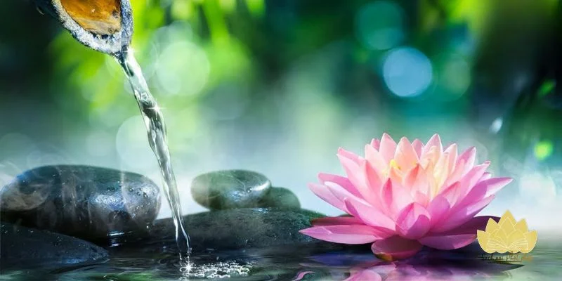 Cách gửi lời chúc đầu tháng đúng tinh thần an lành