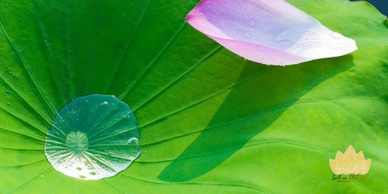 Giữ tâm trong sạch và tránh năng lượng tiêu cực trước khi lên đường