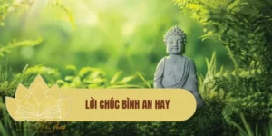 Lời chúc bình an hay, ngắn gọn và ý nghĩa cho mọi dịp