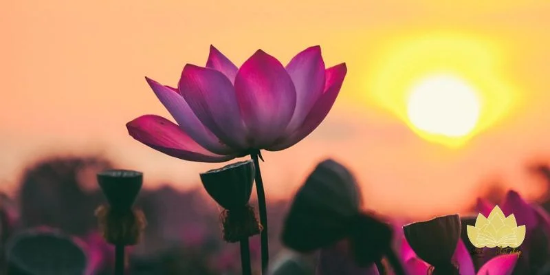 Lợi ích của thói quen gửi lời chúc định kỳ