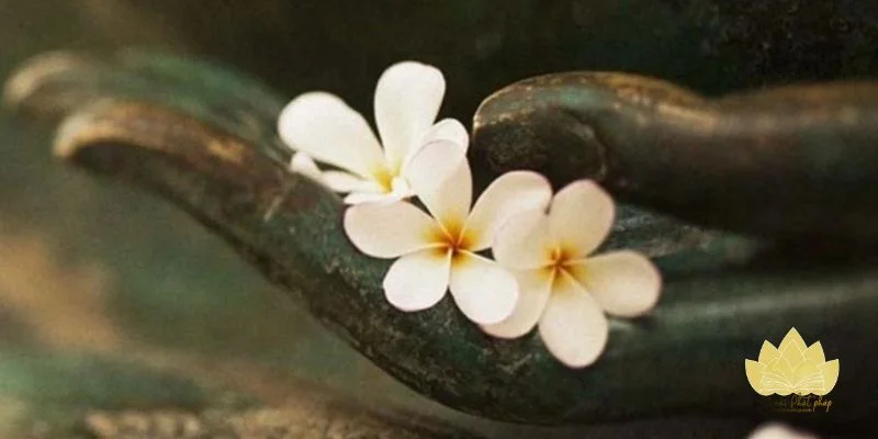 Niệm Phật trước khi ngủ giúp tâm an ổn