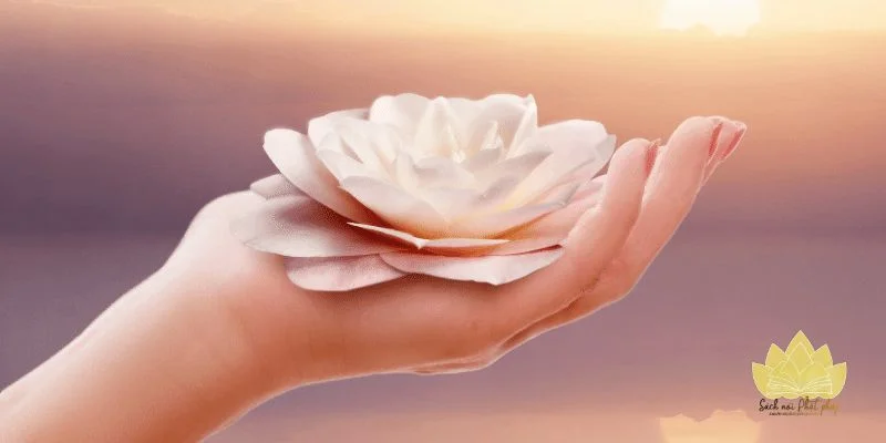 Quán chiếu hành trình, học bài học cuộc đời