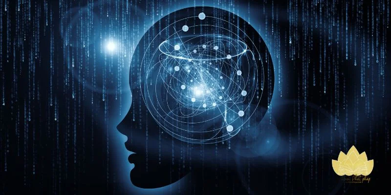 Tin tuyệt đối vào bùa hay công thức, bỏ qua thực tế