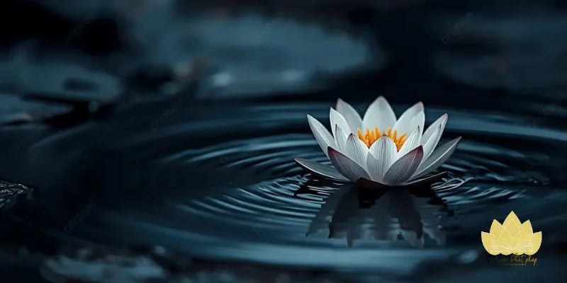 Tịnh tâm trước ngủ giúp giảm lo âu