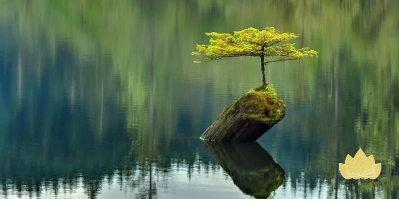 Ý nghĩa tâm linh của việc gửi lời chúc đầu tháng