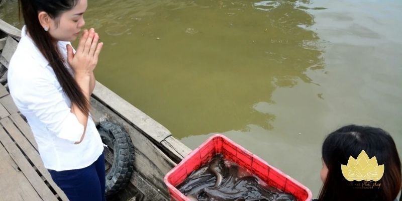 Bài văn khấn phóng sinh dễ đọc giúp gửi tâm nguyện thiện