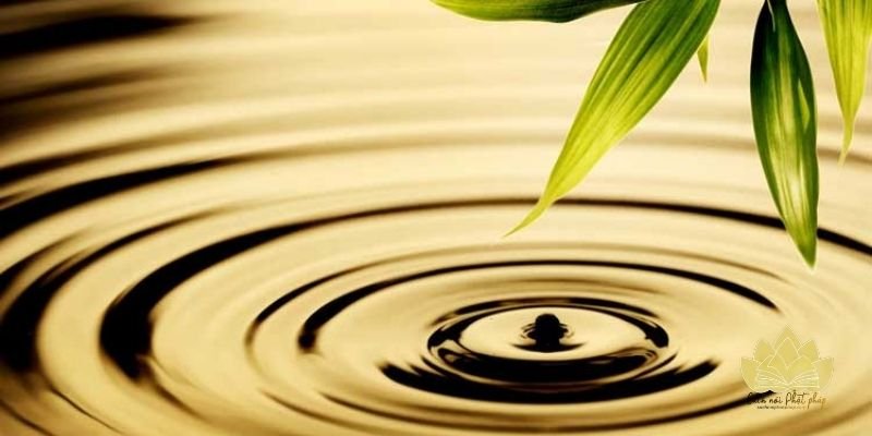 Đọc thơ chậm rãi, hiểu ý sâu hơn lời chữ