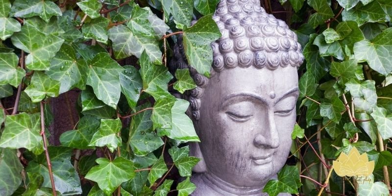 Hành trình tâm thức từ khởi niệm đến tĩnh lặng sâu