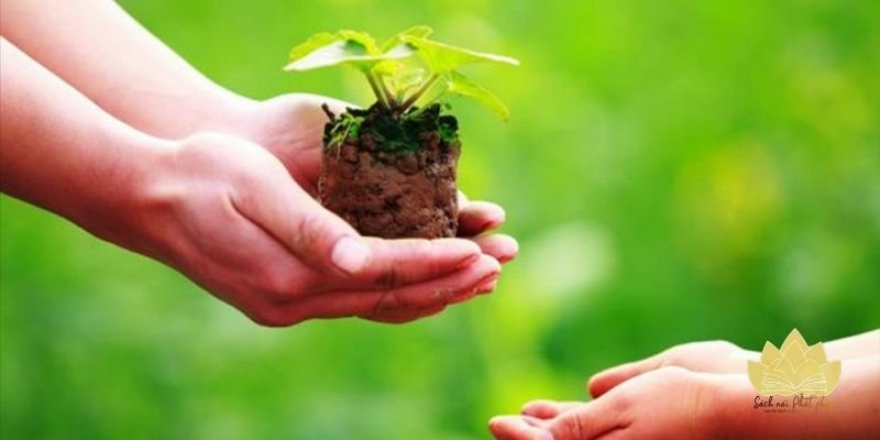 Lời thơ khuyên sống thiện lành gieo nhân lành đời