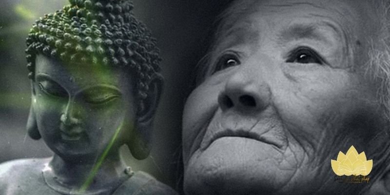 Người mẹ hiện thân từ bi và tình thương vô hạn