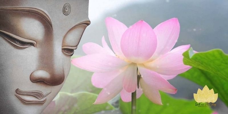 Nụ cười an nhiên phản chiếu tâm tĩnh lặng trí tuệ