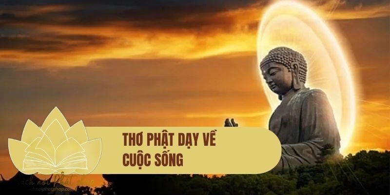 Thơ Phật dạy về cuộc sống: Những vần thơ an nhiên giúp tâm hồn tỉnh thức