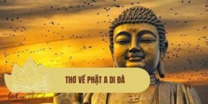 Thơ về Phật A Di Đà: Thiền vị Tịnh độ và ánh sáng an lạc