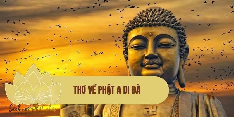 Thơ về Phật A Di Đà: Thiền vị Tịnh độ và ánh sáng an lạc