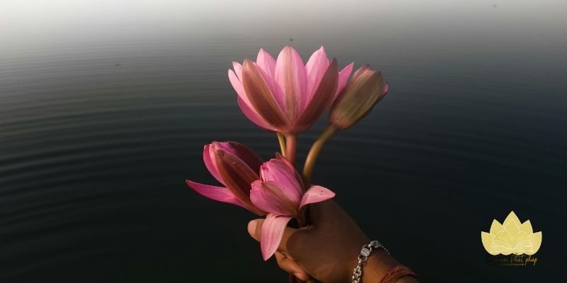 Ứng dụng thơ thiền ngắn giúp tâm an trong đời sống