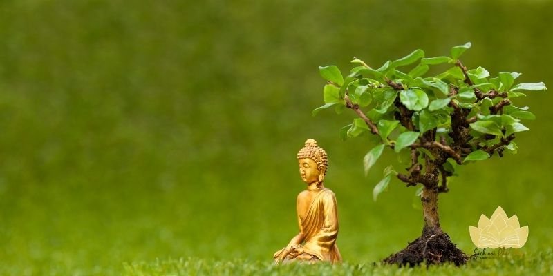 Vẻ đẹp thiền vị trong những câu thơ ngắn gọn tĩnh